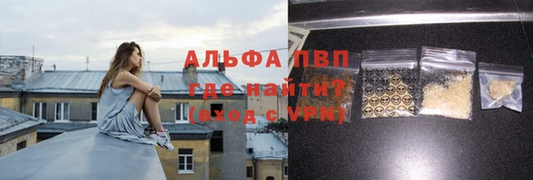 МДПВ Нея