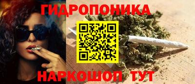 ешки Гай