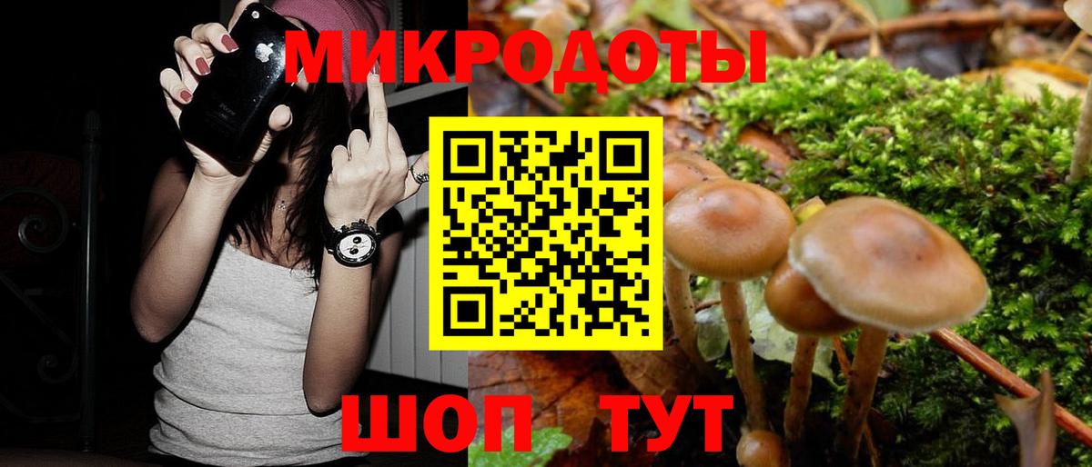 Галлюциногенные грибы прущие грибы Амурск